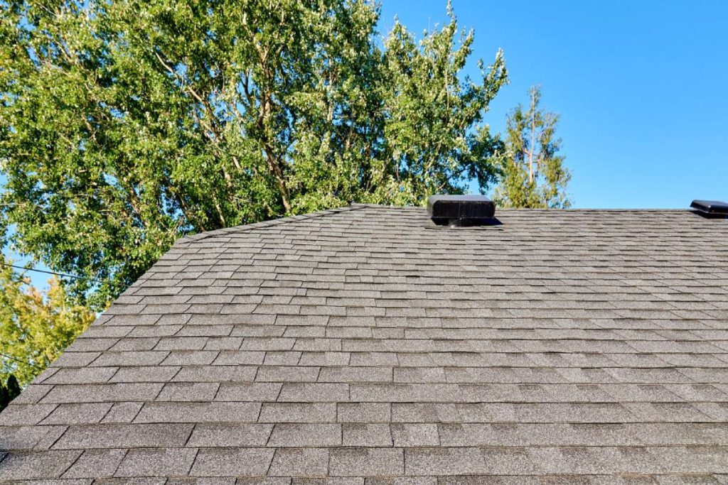 Roof Cleaning 